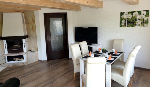 Elbblick-grosse-Loftwohnung-mit-Terasse-Sauna-und-Kamin