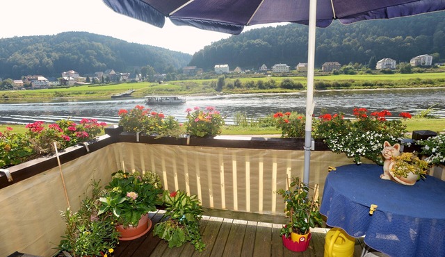 Elbe-1-Resort Directly on the Elbe