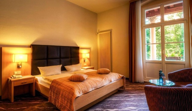 Elbe view room - for 2 persons - Parkhotel Bad Schandau