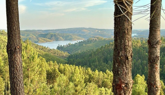 Exclusive Caravan With a Stunning Views
