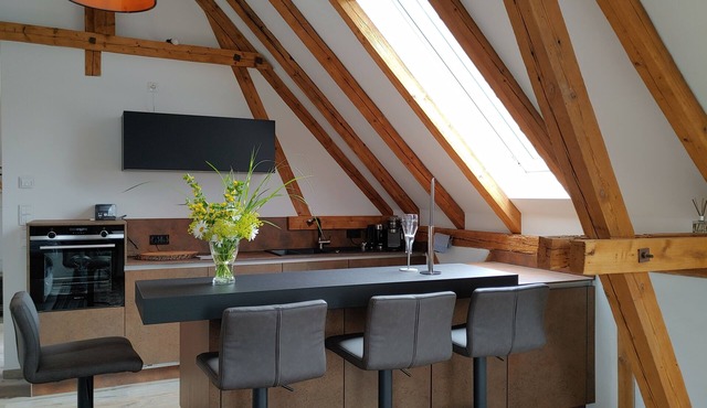 Exclusive studio apartment with roof terrace and view of the Veste in the Cortendorfer Stadel