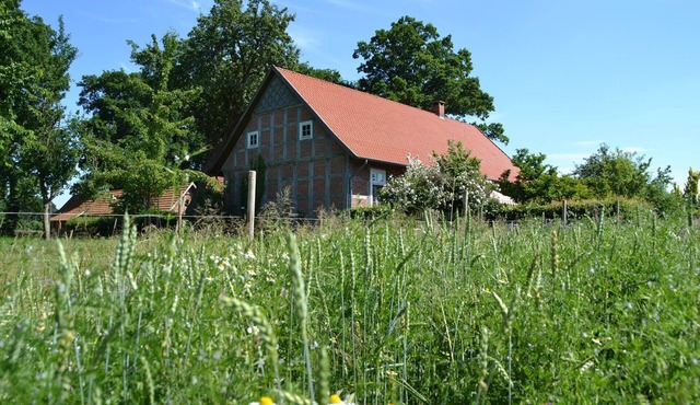 family friendly, pets allowed, spacious garden, solid wood furniture
