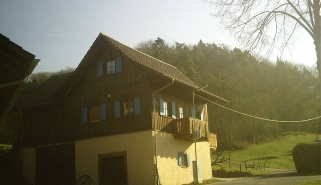 Farm, children welcome, new apartment, outskirts of town, “Europapark”