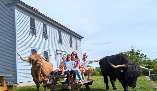 Farmhouse Apartment on a Highland Cattle Farm - A
