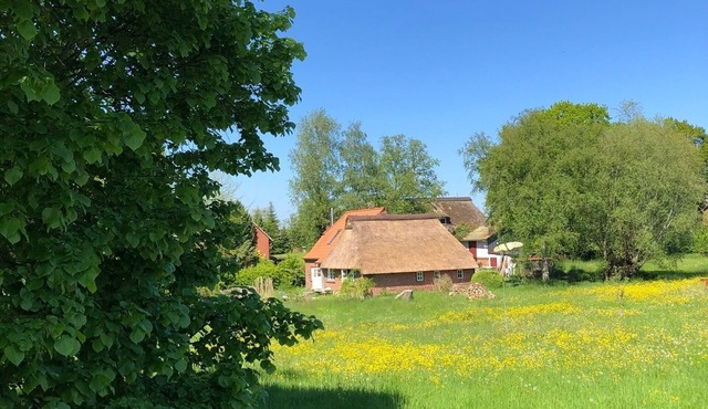 Ferienhaus für 5 Gäste mit 100m² in Goosefeld