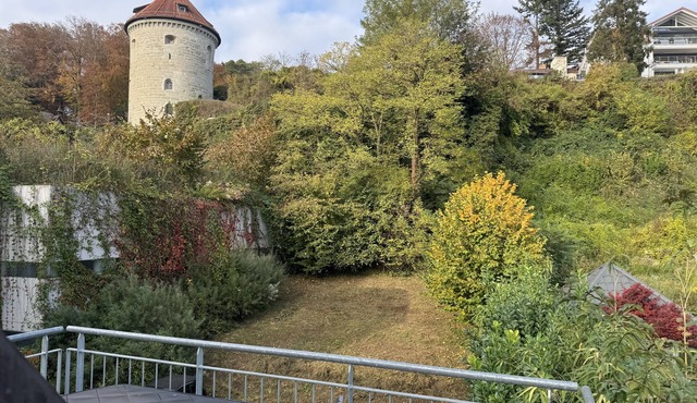 Ferienhaus Möhrle 6