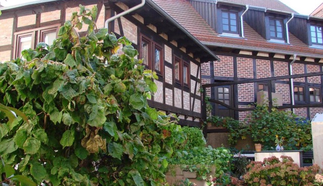 Ferienhaus Sontag