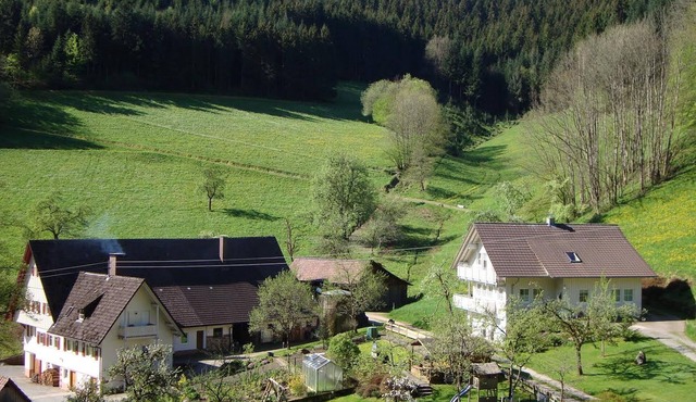 Ferienwohnung 2, 45qm, 2 Schlafzimmer, max. 4 Personen