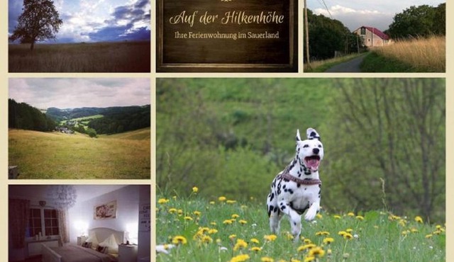 Ferienwohnung auf der Hilkenhöhe