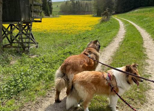 Ferienwohnung Aussicht, Monheimer Alb, Altmühltal
