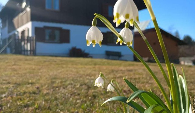 Ferienwohnung Biesen