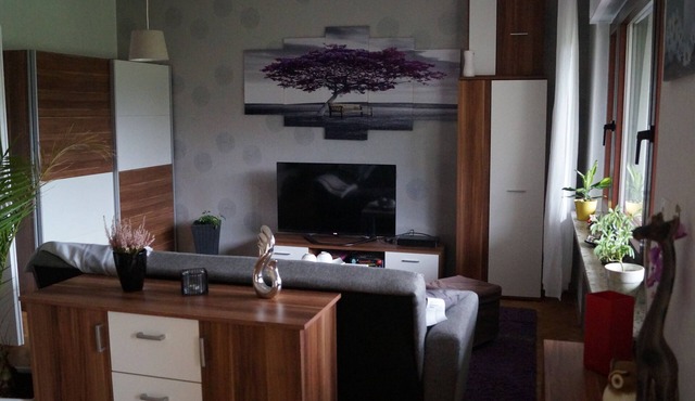 Ferienwohnung Frankenhäuser