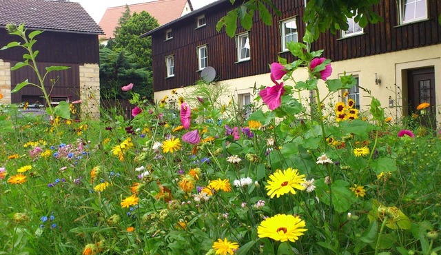 Ferienwohnung in Struppen