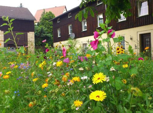 Ferienwohnung in Struppen
