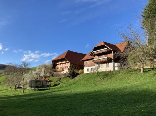 Ferienwohnung Schwörerhof