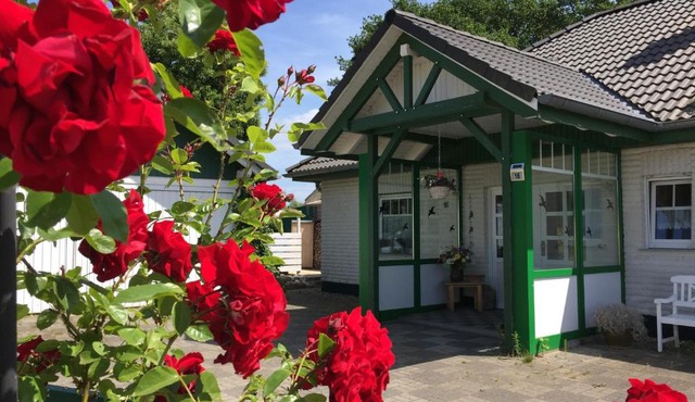 Ferienwohnung ULLO's Schwalbennest