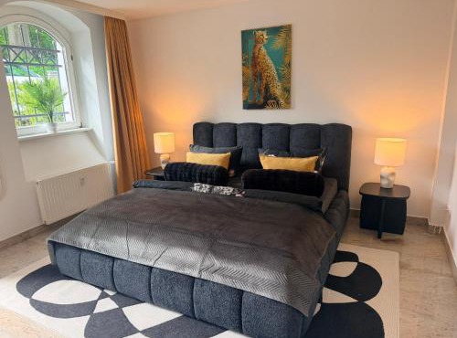 Ferienwohnung Villa Historica 250qm mit Garten, Dart, Tischkicker, Parkplatz, free Wifi