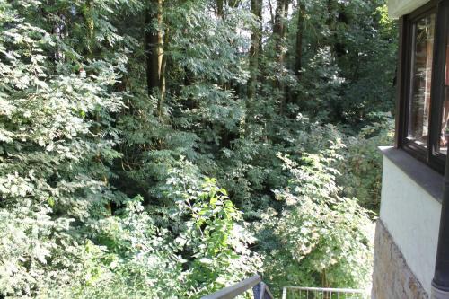 FeWo Harling - Waldsamkeit