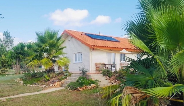 Finca close to nature in a secluded location approx. 10 km from the sea. Between olives and oranges