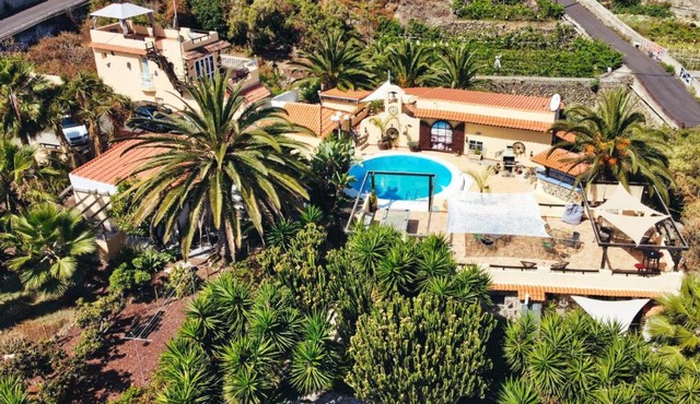 Finca Vino Tinto 2
