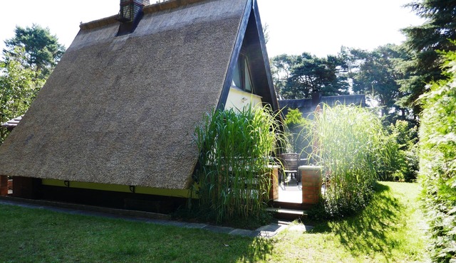 Finnhütte Hubertus in Quilitz on Usedom - Thatched roof house Quilitz