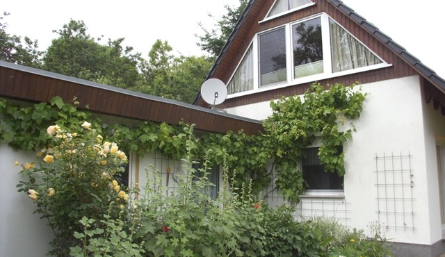 Flower House - Flower House *