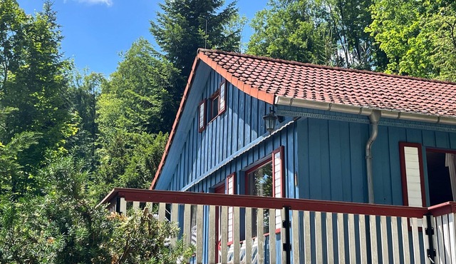 Forest house in the Ore Mountains