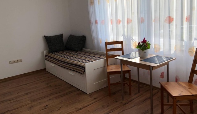 Furnished 1 room apartment for rent