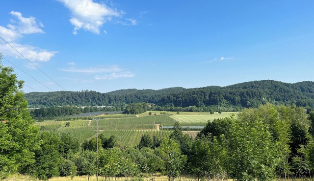 Garten mit Einzigartigem Panoramablick Nähe Tettnang, Bodensee und Messe