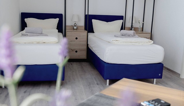 Gemütliches GrenzAparment mit 2 Schlafmöglichkeiten direkt bei Schaffhausen