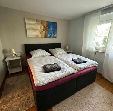 Gemütliches & zentrales Appartement