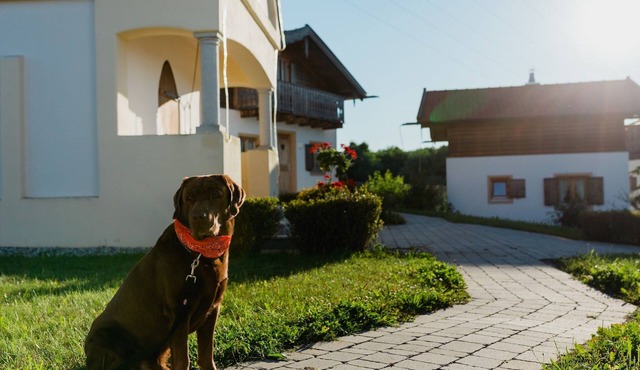 Großzügiges Ferienhaus im Landhausstil im Vital Camp Bayerbach