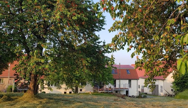Gut Belgerhof Steinbach Ferienwohnung