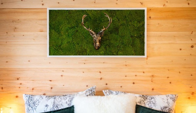 Haus am Wald - Ferienhaus mit Garten & Hund in der Sächsischen Schweiz