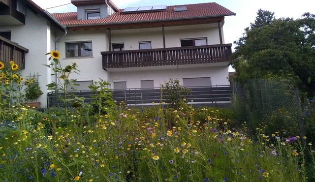 Haus Hinz - 3-zimmer-ferienwohnung Hinz, Dusche/wc, 70 qm, EG