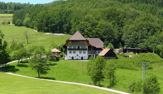 Heizmannshof flower meadow