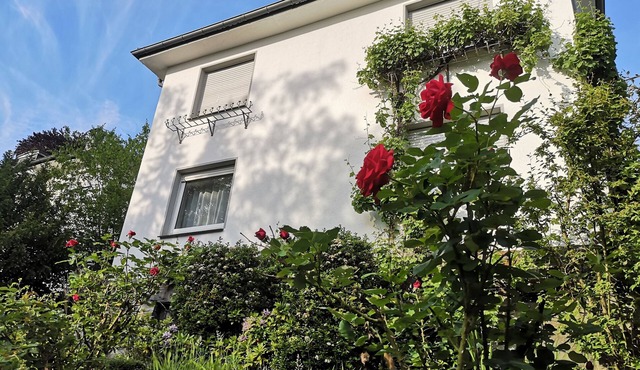 Helle Wohnung mit Eigenem Gartenstück