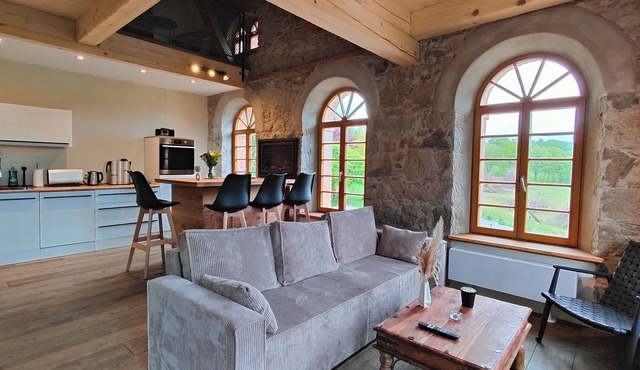 HexenburgbeiDresden 3 Zimmer Architektengaleriewohnung mit eigener Sauna, 2 Kaminen - Nähe Sächsische Schweiz