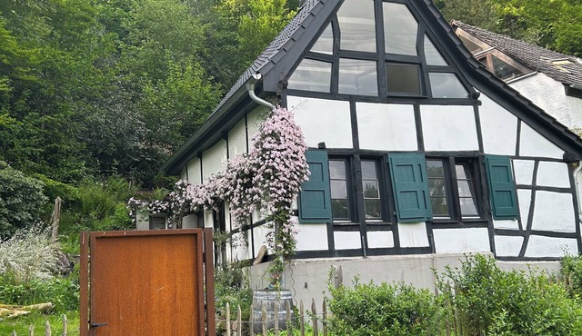 Historic Breidenmühle