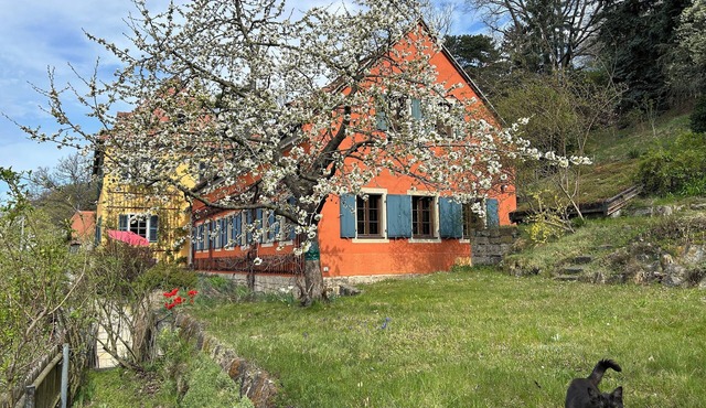 Historic Vineyard House near the Elbe River