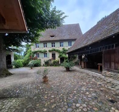 Historische Mühle von Cramm, 7 Apartments