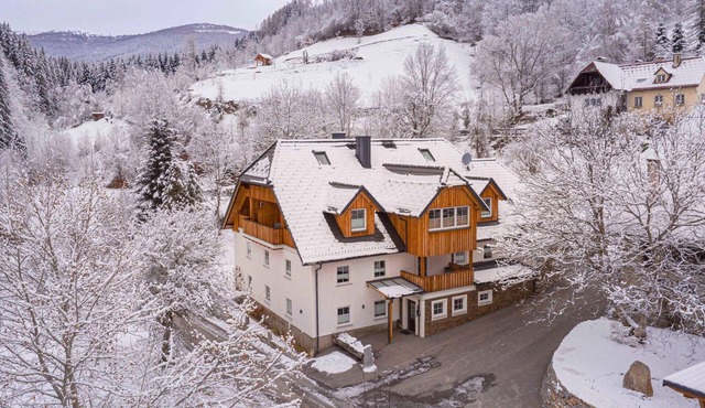 Holiday Apartment on Kreischberg