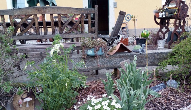 Holiday apartment Bad Gottleuba for 2 - 4 persons with 2 bedrooms - Holiday apartment