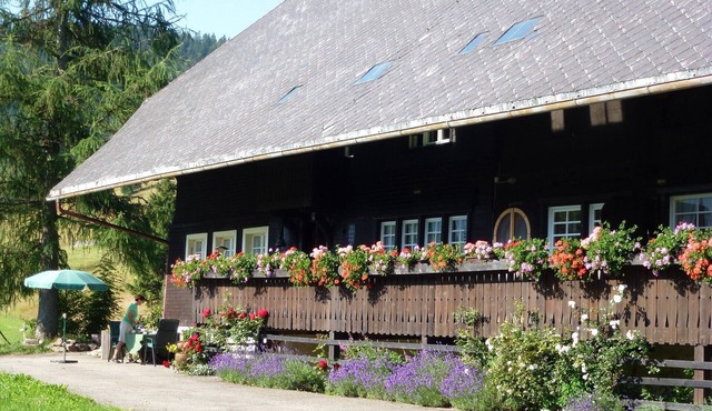 Holiday Apartment 'Kammbühlhof' with Sauna, Mountain View, Private Terrace & Wi-Fi
