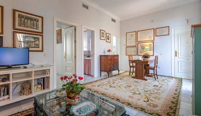Holiday Apartment, historical center, long stay