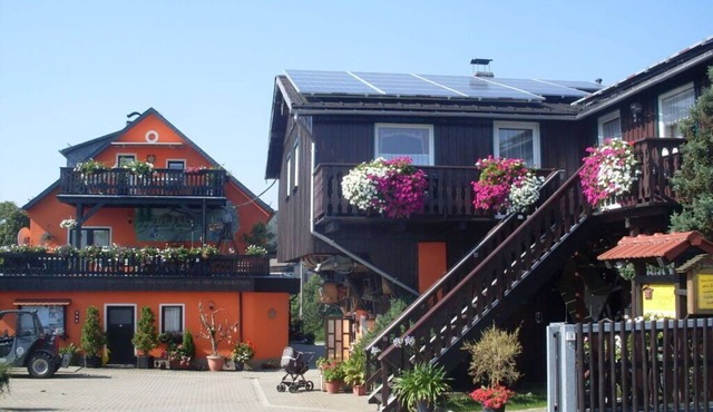 Holiday farm Richter Reinhardtsdorf