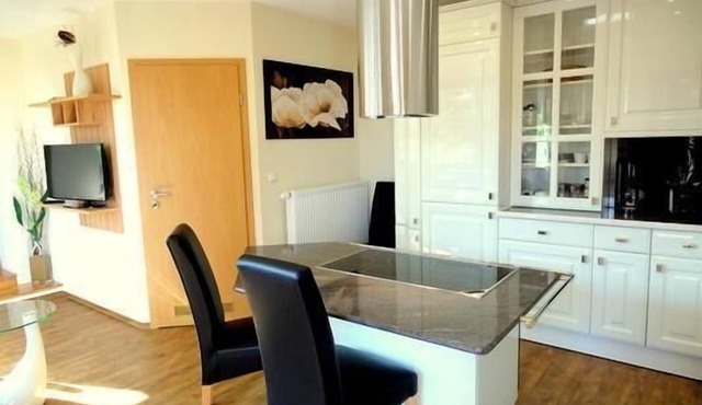 Holiday flat Ginkgo 2 Dresden with terrace