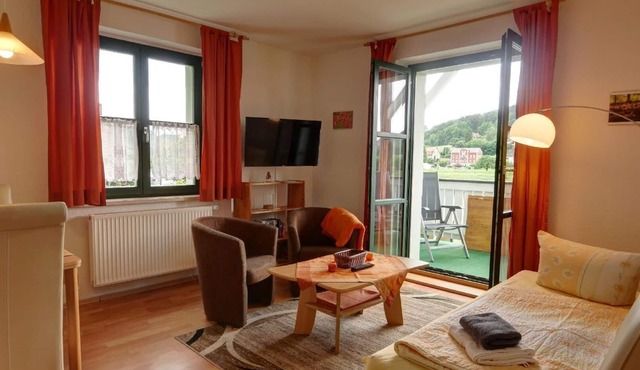 Holiday flat "Schrammsteine" with a view of the Elbe