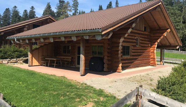 Holiday Home 'Blockhaus Almhütte Wiesenglück' with Private Terrace, Private Garden and Wi-Fi