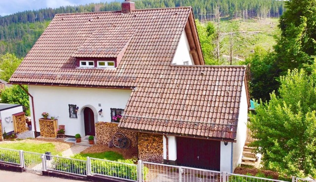 Holiday Home Feldberg in the Black Forest with Mountain View, Shared Terrace & Wi-Fi